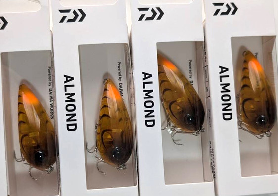 DAIWA ALMOND/STEEZ IGLA TYPE INDIANA 1/4oz/3/16oz added!