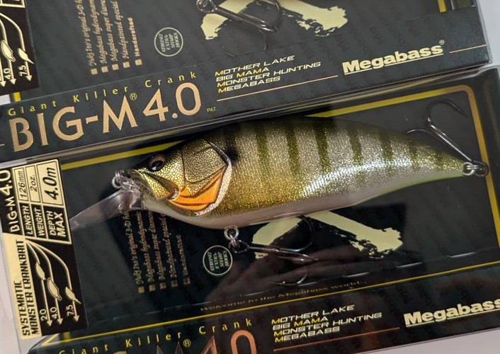 Megabass BIG-M 4.0 Magnum Crankbait, Jackall LONG "M" 16 added!