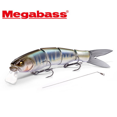 Megabass V-flat ABALOME set！ Megabass V-flat ABALOME set！ MEGABASS / V-FLAT ABALONE 3/7
