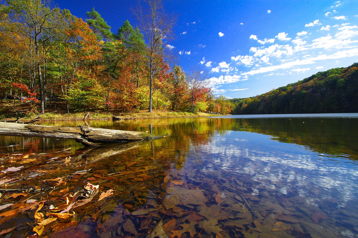 See Which State Stands Out During the Fall!