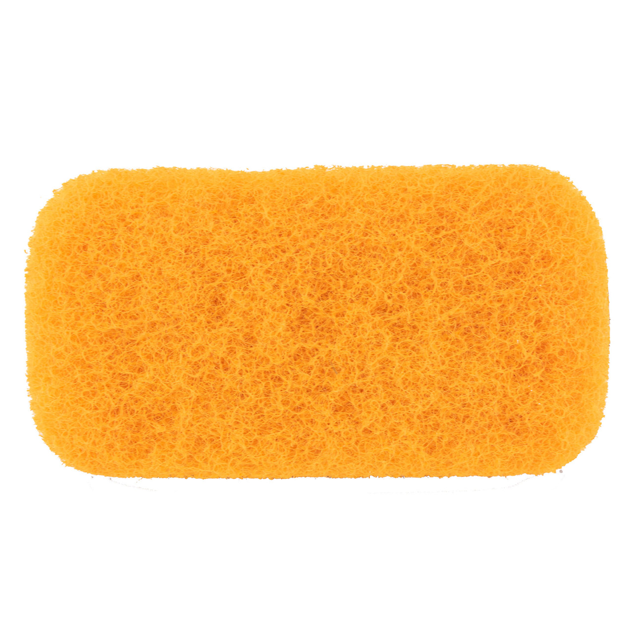 5 Pcs Sponge Scrubber Horse Accessories Large Sponges Cleaning