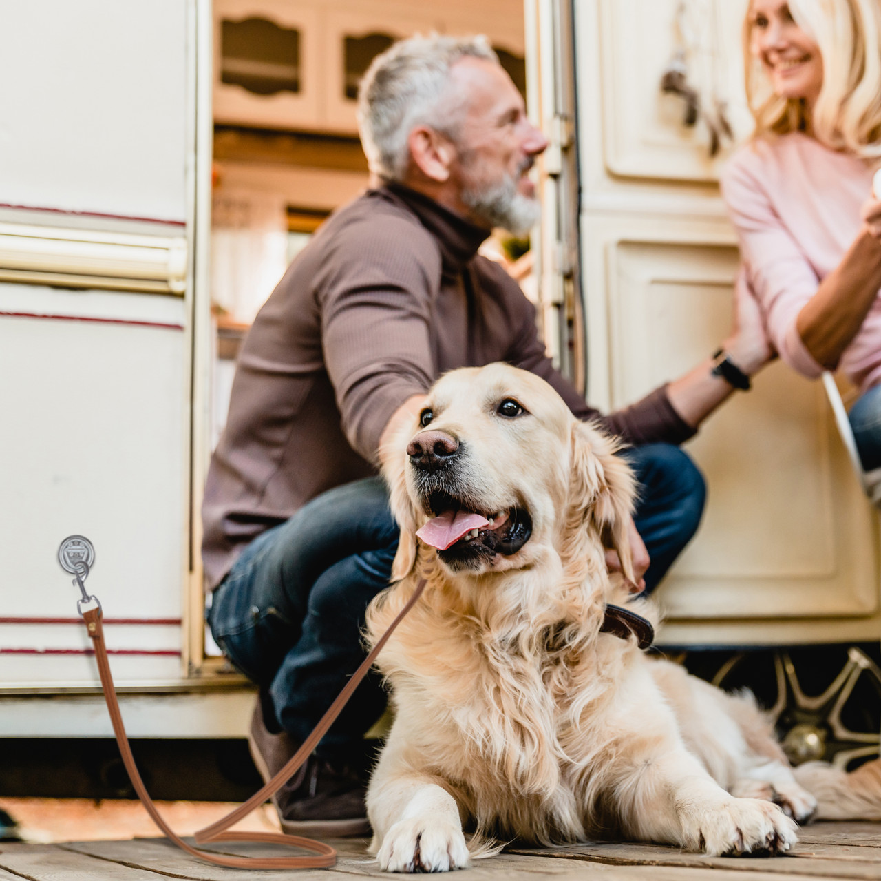 RV Surface Mount Dog Leash D-Ring 1,500 lb Capacity for RV Toy