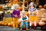 Fun Fall Activities Made Better in Your RV - Part I