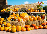 Fun Fall Activities Made Better in Your RV - Part II
