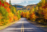 Navigating America’s Most Scenic Drive