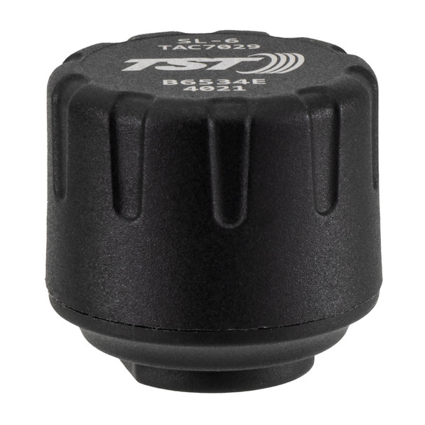 TST RV 2 Sensor TPMS with Repeater - Color Display