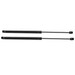 Gas Strut 20" and 13lb, For RV, Automotive, and Agricultural Uses (2 Or 4 Packs)