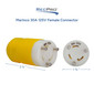 Marinco 30 Amp 125V Female Connector