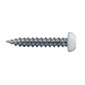8x1" Pan Head Metal RV Screws Polar White