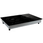 RV Induction Cooktop Dual Burner Electric Range