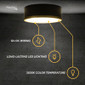 RV 12V  Flush Mount Ceiling Light with Matte Black and Gold Trim Finish