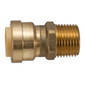 RV Fresh Water Male Adapter Brass Fitting ½" 