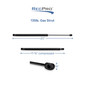 Gas Strut 20" and 135lb, For RV, Automotive, and Agricultural Uses (2 Or 4 Pack)
