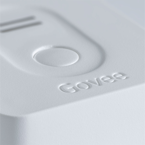 Govee Detail