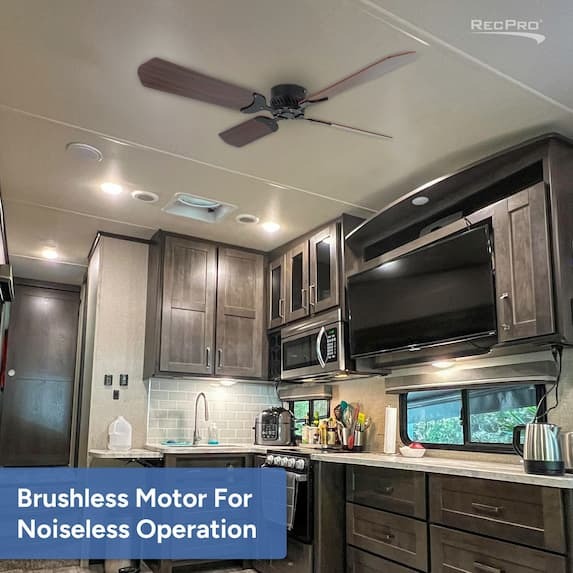 Brushless Motor For Noiseless Operation