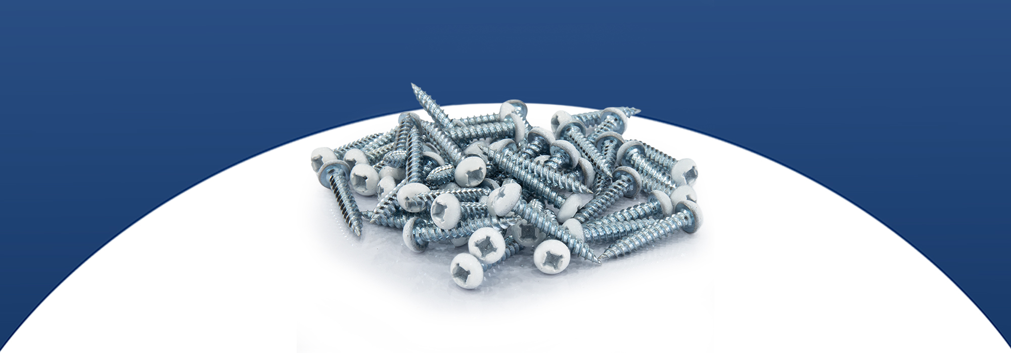 screws category banner