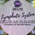 [SPRING SPECIAL] Lymphatic System Cellular Therapy Cleanse