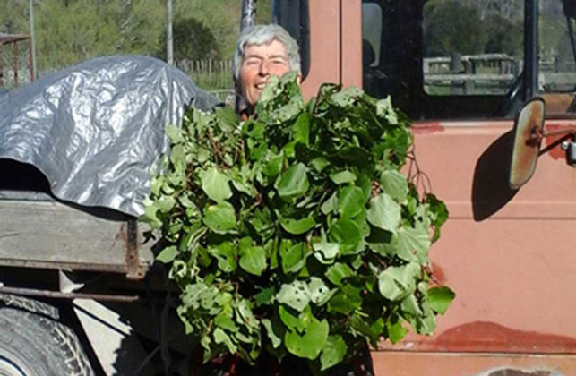 Interview with Angela Chadwick