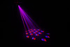 Chauvet Obsession example 13