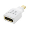 Mini DisplayPort Male to Display Female Adapter