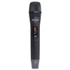 Airwave Technologies AT-4210 Dual Channel Wireless Handheld Microphone System