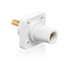 Leviton Cam-Type Panel Mount Threaded Stud Female white