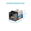 Keystone Jack CAT5e RJ45 dimensions