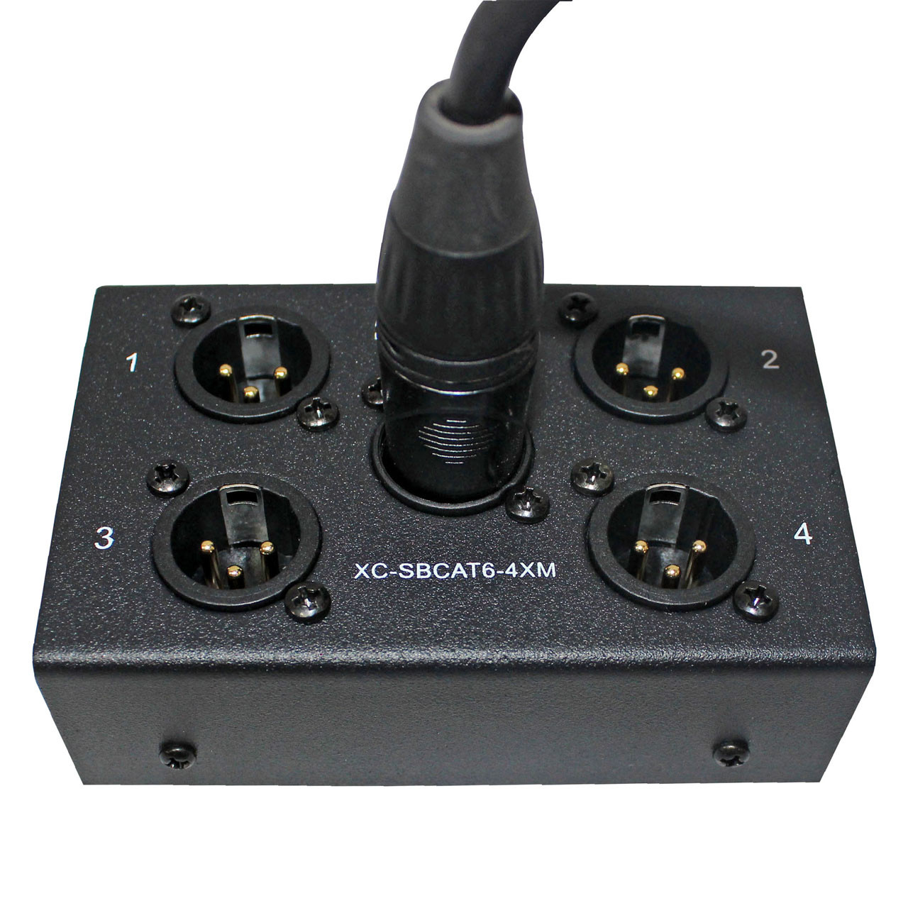 ProX 4-Channel CAT6 Audio Snake Box to (4) XLR Male - Monkey