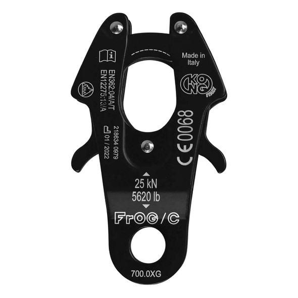 Fusion FP-FROG closed