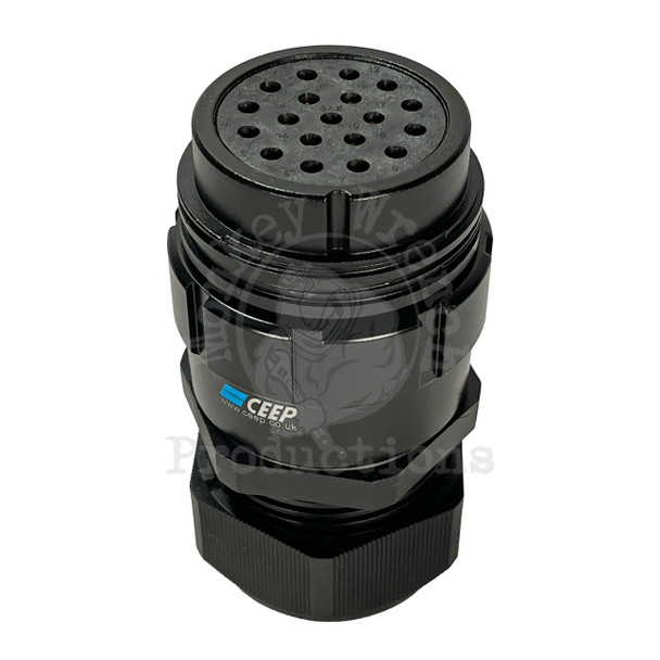 19-Pin Multi Connector Inline Female standing