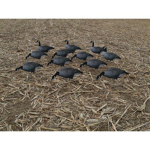 Canada Goose Dizzy Decoy