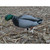 Drake Mallard Feeder