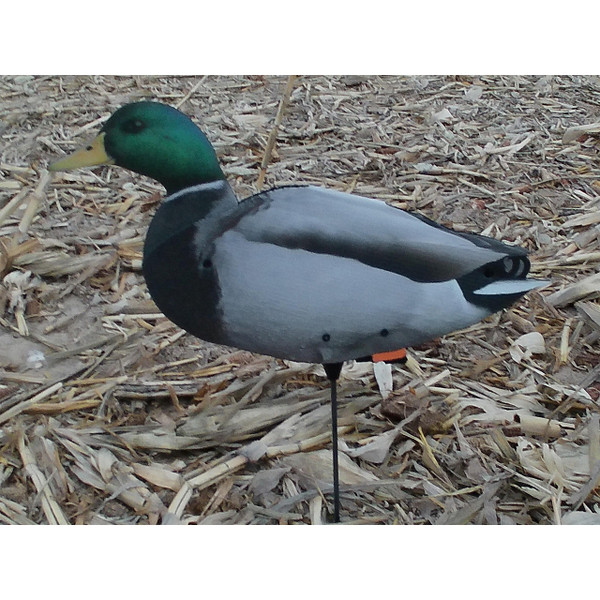 Drake Mallard Feeder