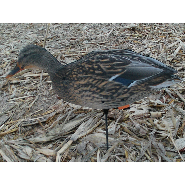 Hen Mallard Feeder