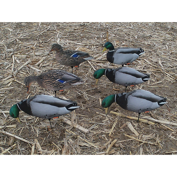 Mallard Dizzy Decoy