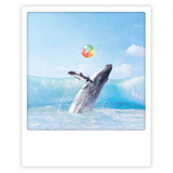 Photo-Postkarte "Beach ball" - ZG 1248 - Pickmotion