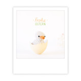 Photo-Postkarte "frohe ostern küken" - ZG-1488-DE - Pickmotion