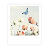 Photo-Postkarte "flower field butterfly"- ZG-1503 - Pickmotion