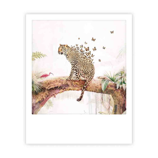 Photo-Postkarte "butterfly leopard" - ZG-1480 - Pickmotion