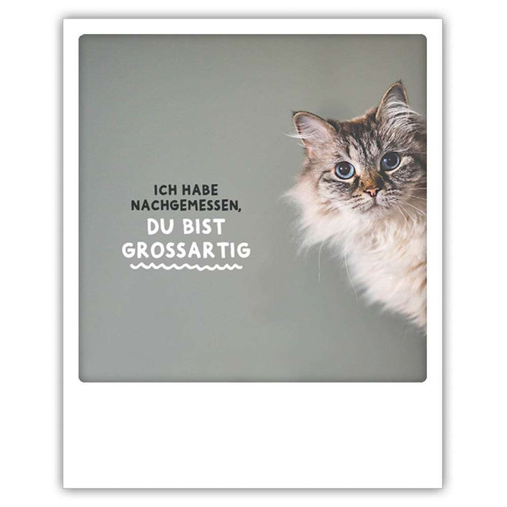 Photo-Postkarte "Du bist großartig" - ZG 0702 - DE - Pickmotion