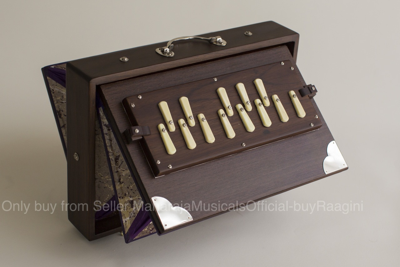 buy shruti box for sale