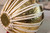 MAHARAJA MUSICALS Pro Floral Tabla Set, 3.5 Kg Brass Bayan, Sheesham Dayan - No. 67