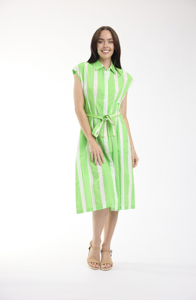 Women's Dresses | Stripe Collar Tie Waist Dress | ORIENTIQUE