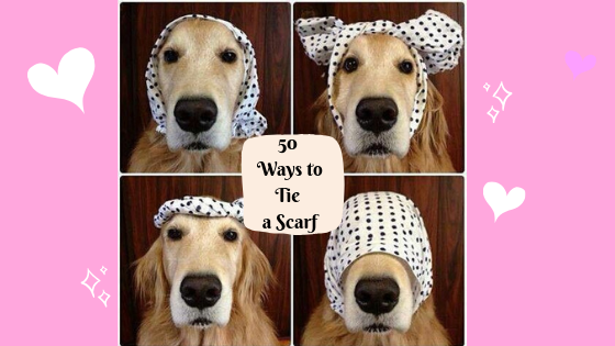 50 Ways to Tie a Scarf 