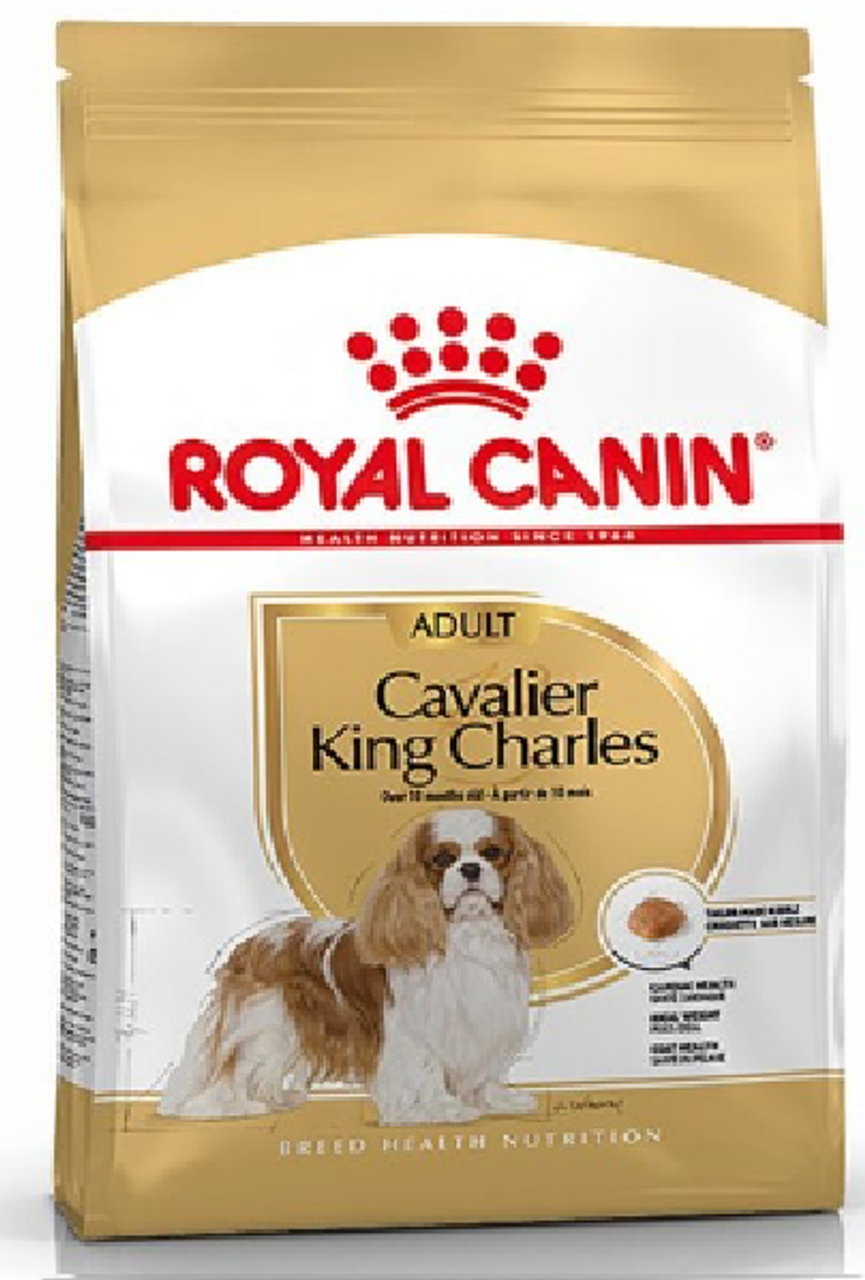 royal canin puppy king charles