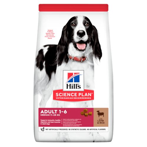 hills science plan puppy medium