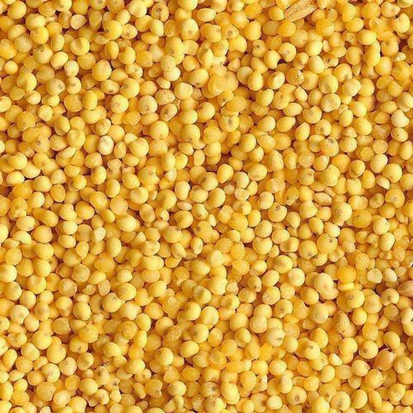 Yellow Millet x 1kg