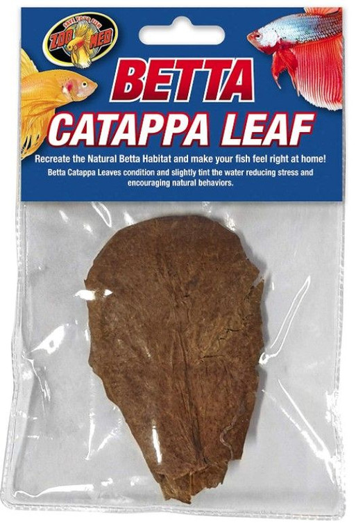 Zoo Med Betta Catappa Leaf - 1 count