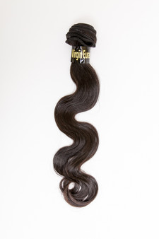 Eurasian Body Wave 4 Bundle