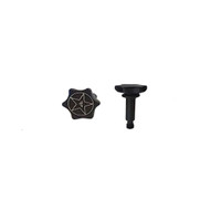 Henry Firearms 25 PACK YOUR LOGO: Henry Lever Quick Takedown Screws (black nitride coated) 